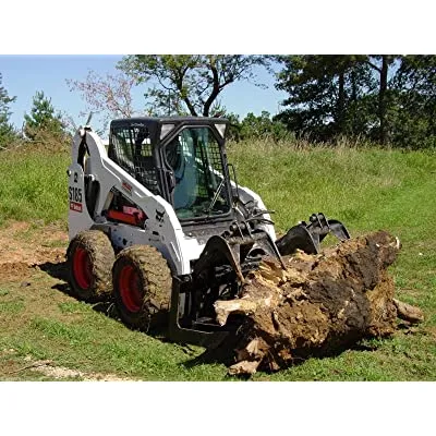 A bobcat with a large tree stump in the background.