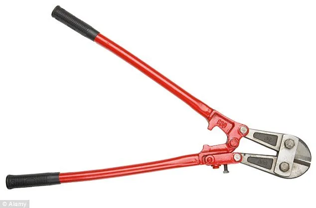 A pair of red handles are holding two large metal shears.