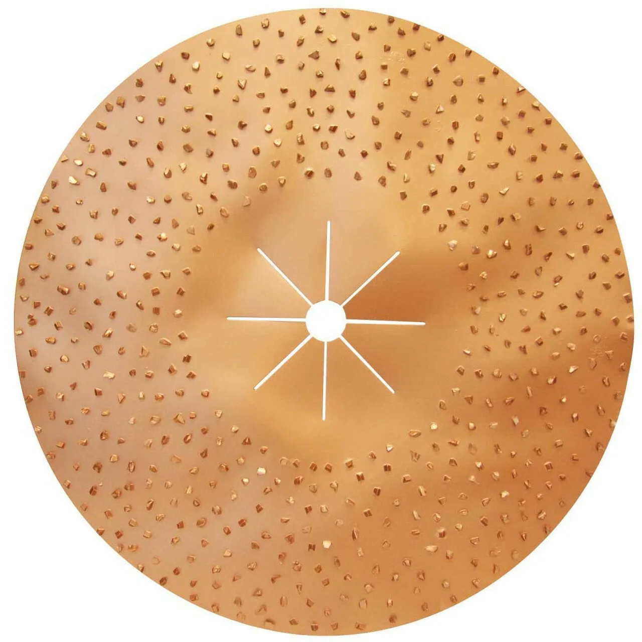 A picture of the inside of a disc.