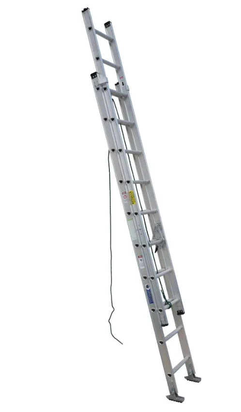 A ladder is shown with the handle up.